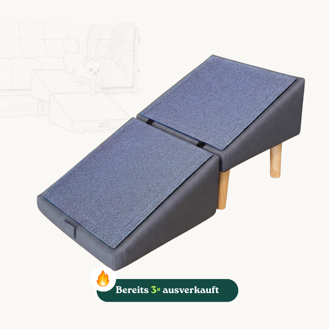 2 in 1 Hundehocker Luna - Gelenkschonende Hunderampe in Grau