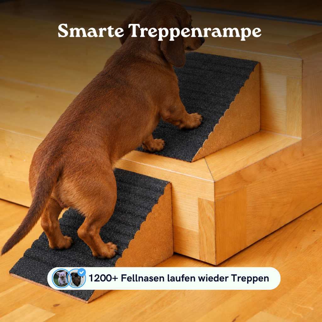 Treppenrampe Herbert für Welpen und kleine Hunde