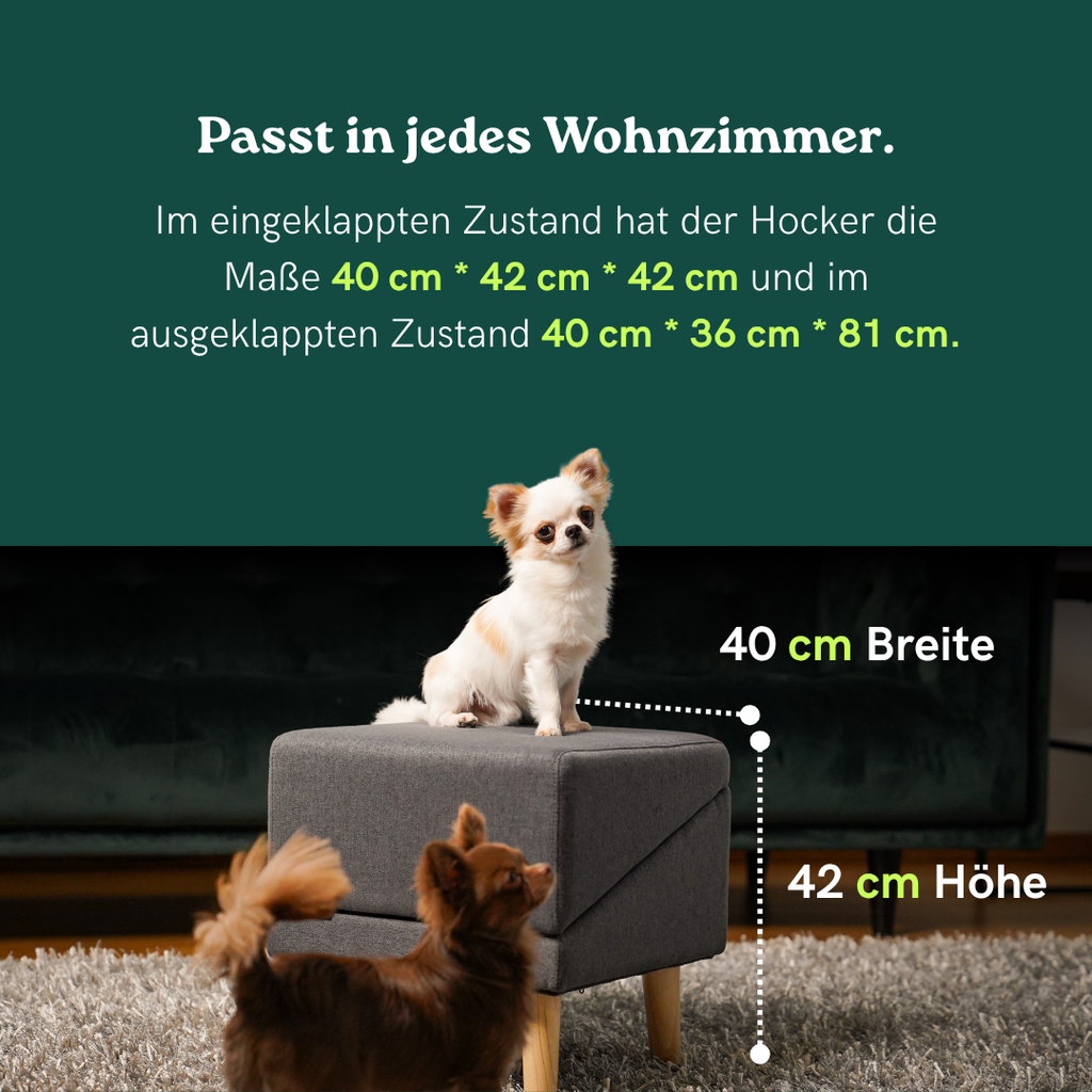 2 in 1 Hundehocker Luna - Gelenkschonende Hunderampe in Grau