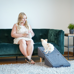 2 in 1 Hundehocker Luna - Gelenkschonende Hunderampe in Grau