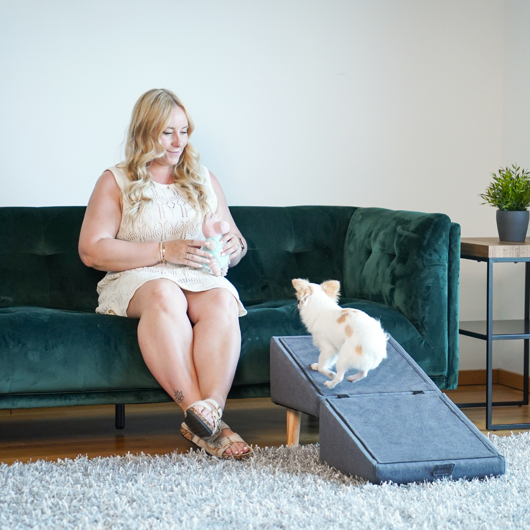 2 in 1 Hundehocker Luna - Gelenkschonende Hunderampe in Grau