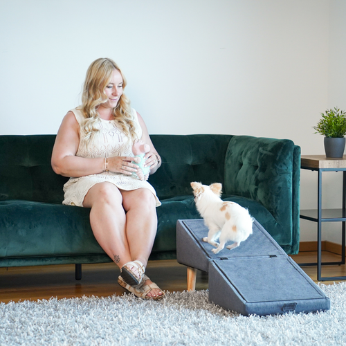 2 in 1 Hundehocker Luna - Gelenkschonende Hunderampe in Grau