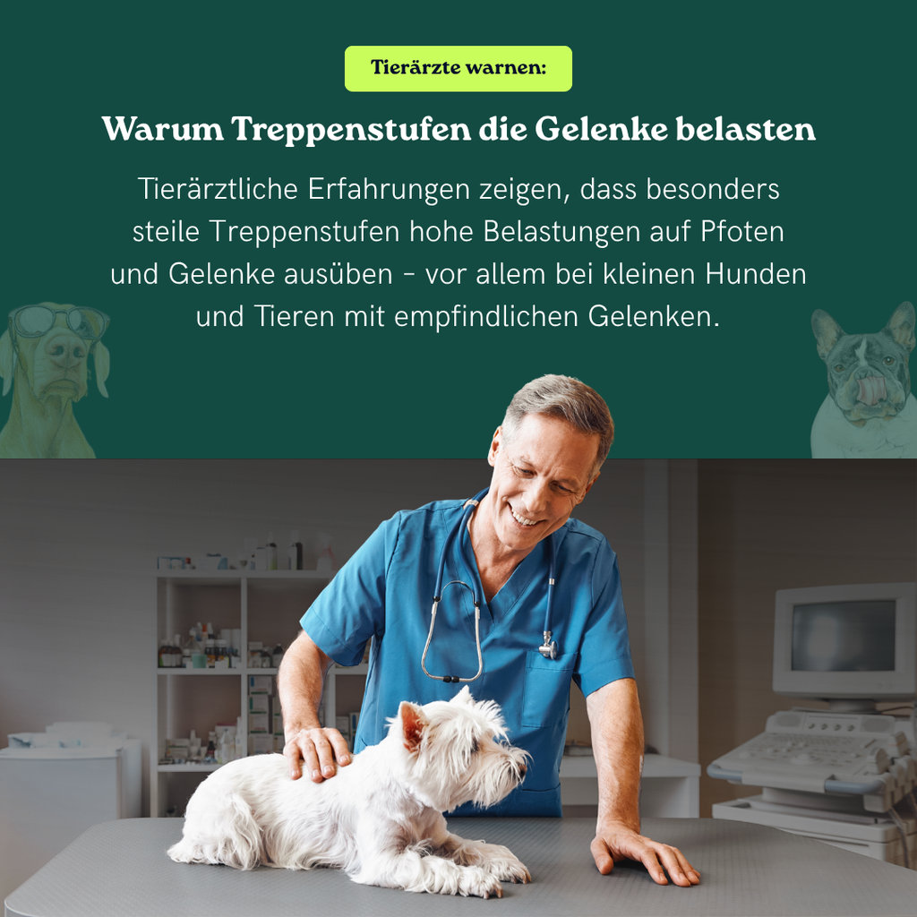 Treppenrampe Herbert für Welpen und kleine Hunde