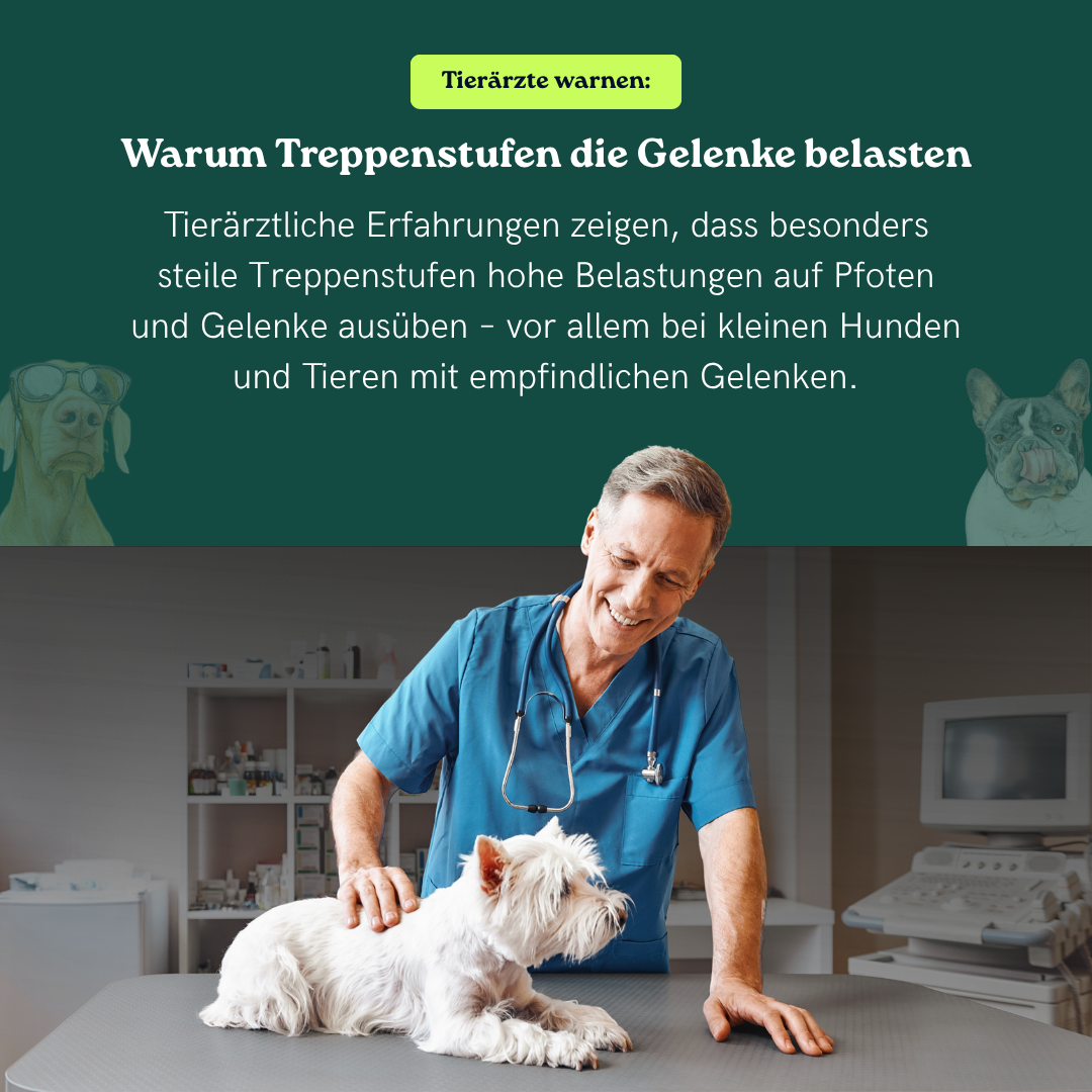 Treppenrampe Herbert für Welpen und kleine Hunde