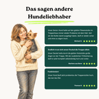 Treppenrampe Herbert für Welpen und kleine Hunde