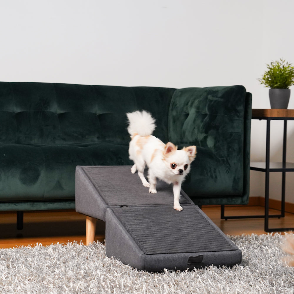 2 in 1 Hundehocker Luna - Beige