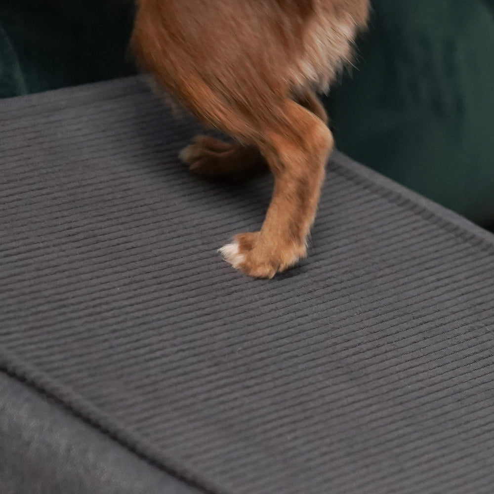 2 in 1 Hundehocker Luna - Beige