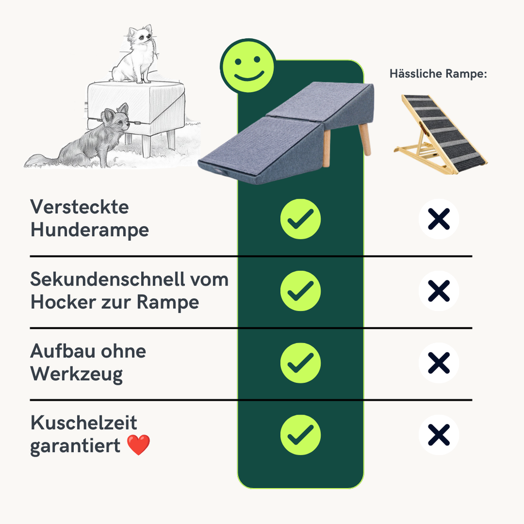 2 in 1 Hundehocker Luna - Gelenkschonende Hunderampe in Grau