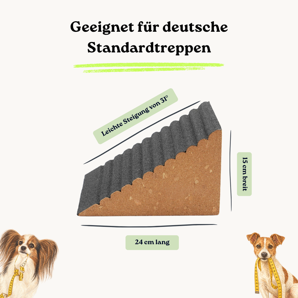 Treppenrampe Herbert für Welpen und kleine Hunde