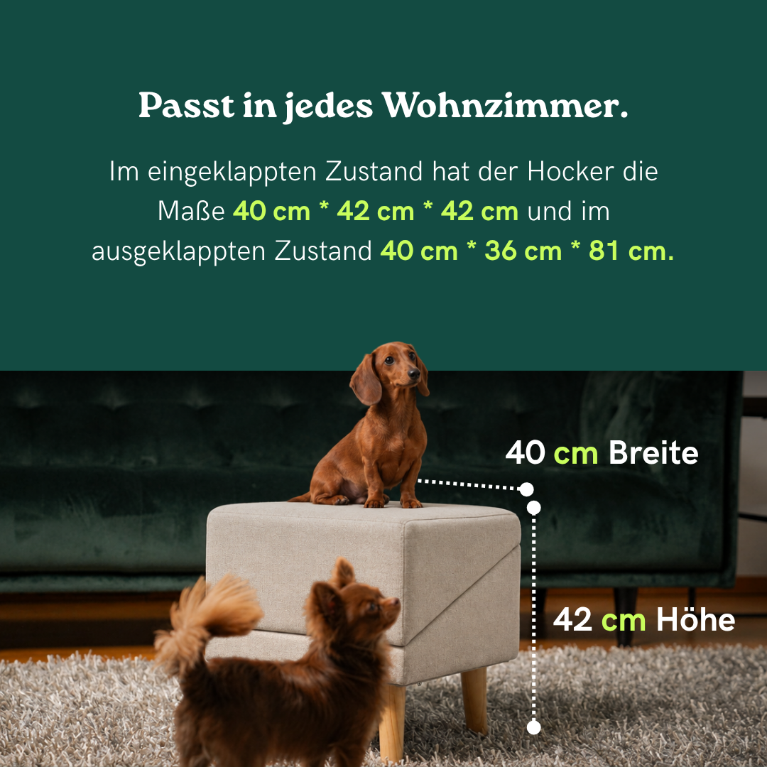 2 in 1 Hundehocker Luna - Beige