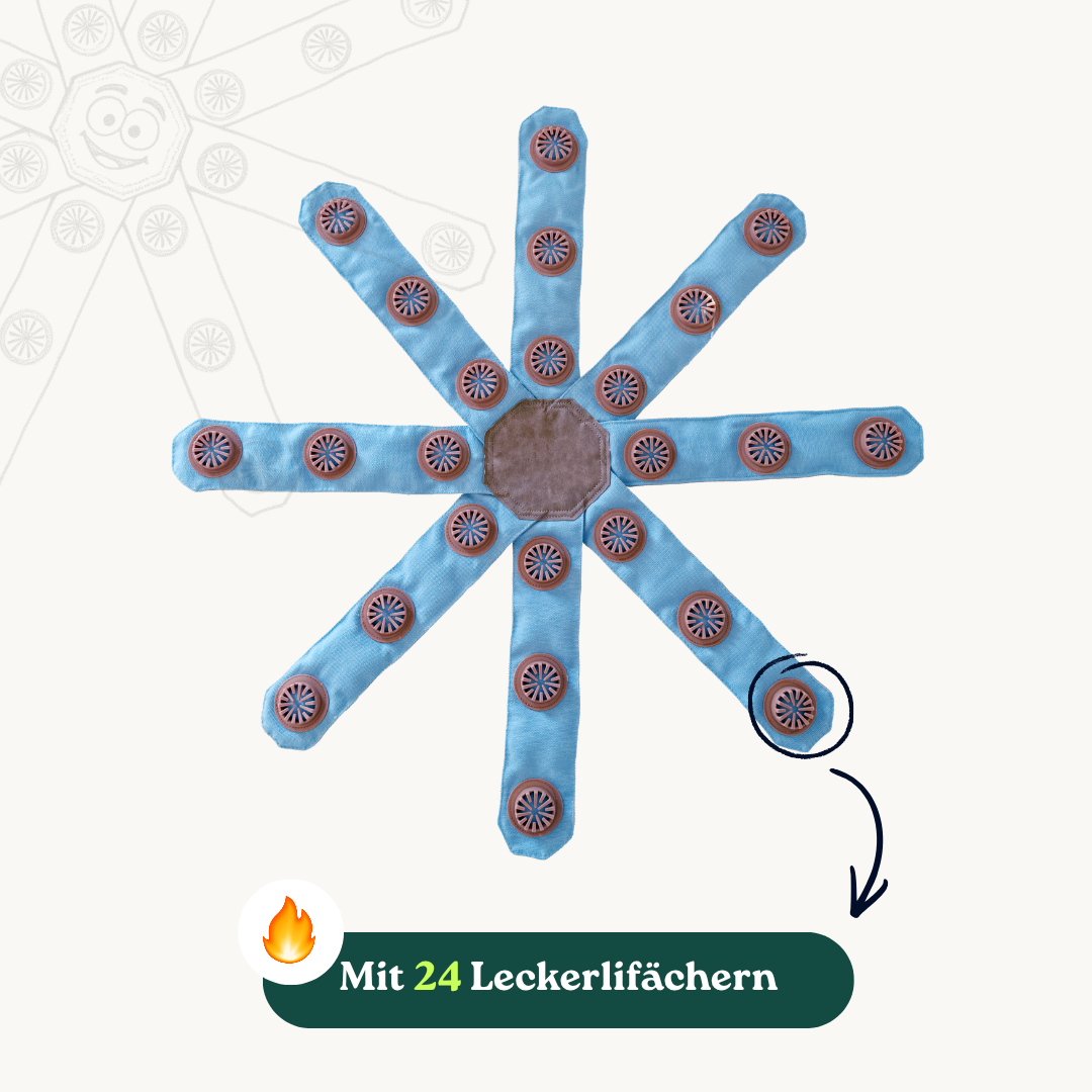 Lucky der Dogtopus™: Das neue Lieblingsspielzeug für deinen Hund