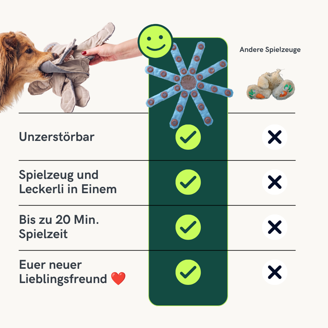 Lucky der Dogtopus™: Das neue Lieblingsspielzeug für deinen Hund