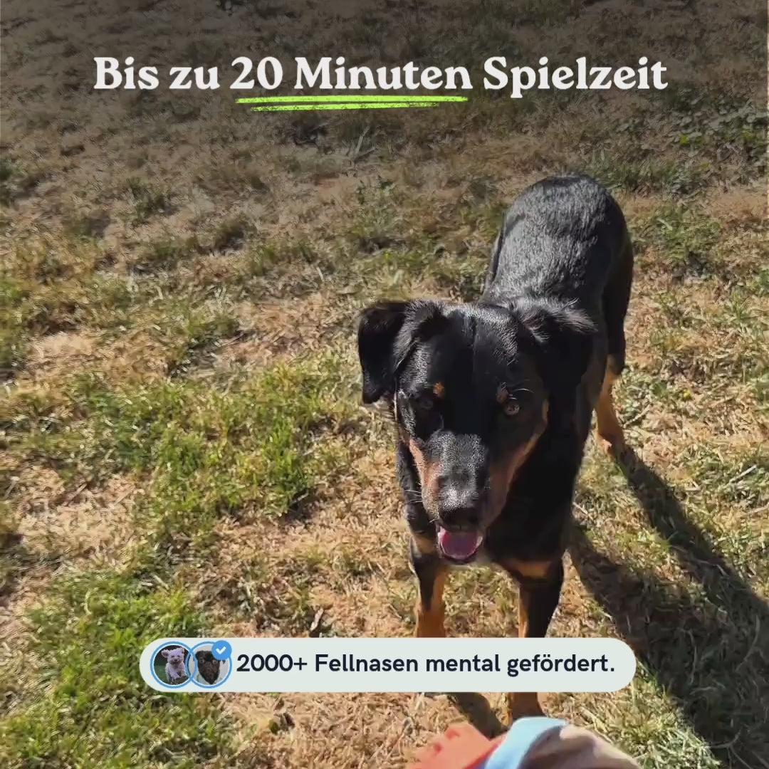 Lucky der Dogtopus™: Das neue Lieblingsspielzeug für deinen Hund