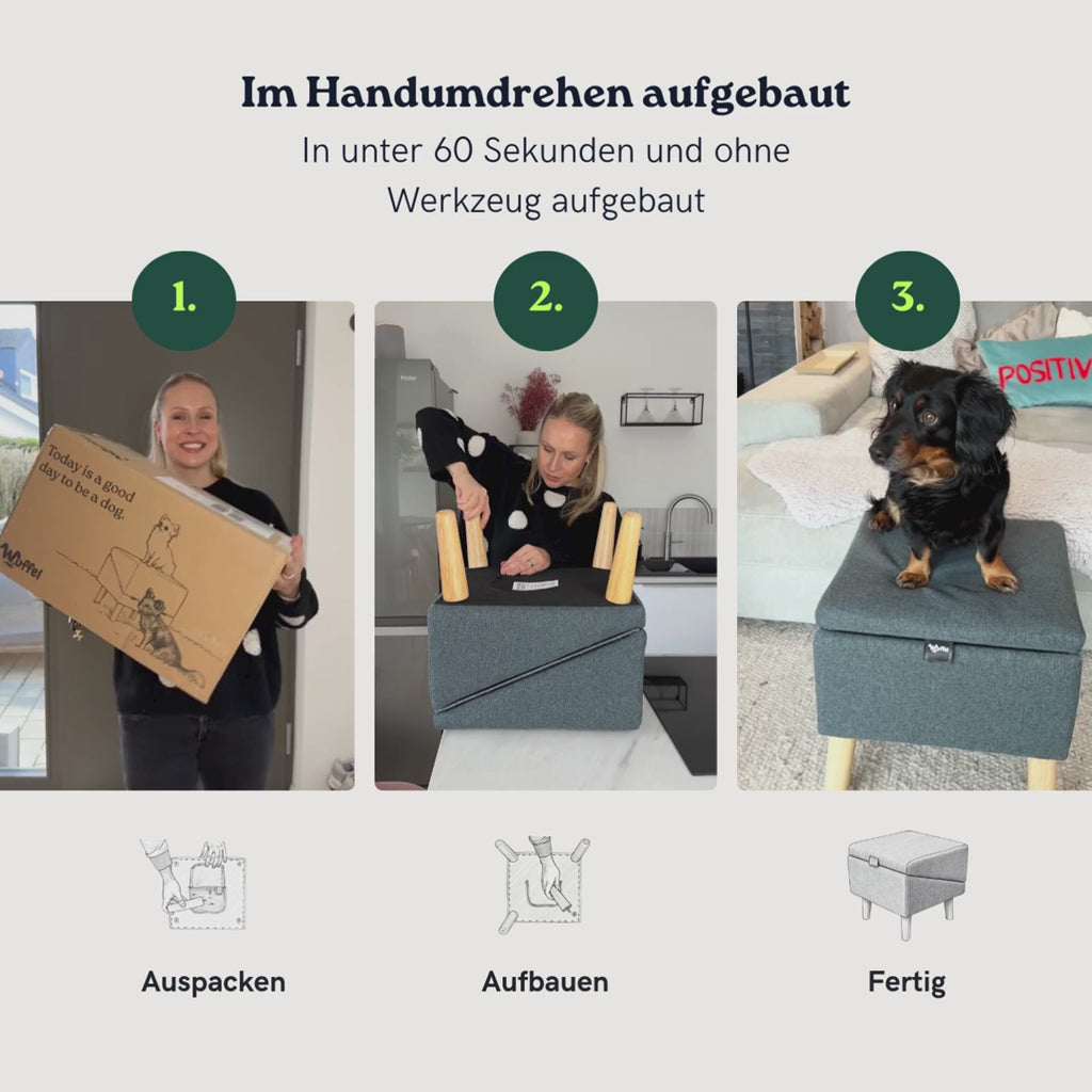 2 in 1 Hundehocker Luna - Gelenkschonende Hunderampe in Grau