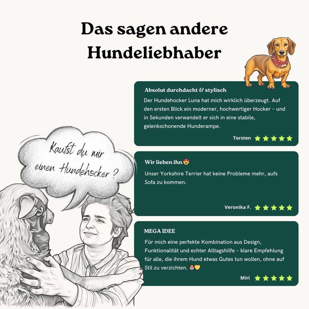 2 in 1 Hundehocker Luna - Gelenkschonende Hunderampe in Grau