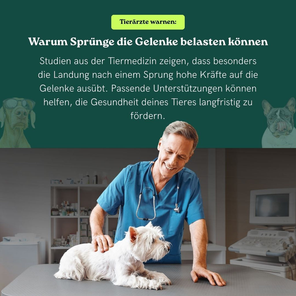 2 in 1 Hundehocker Luna - Gelenkschonende Hunderampe in Grau