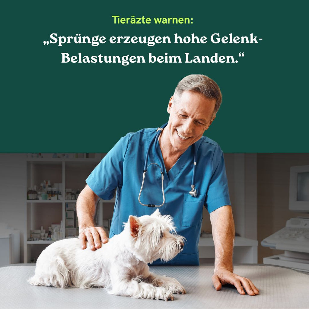 2 in 1 Hundehocker Luna - Beige