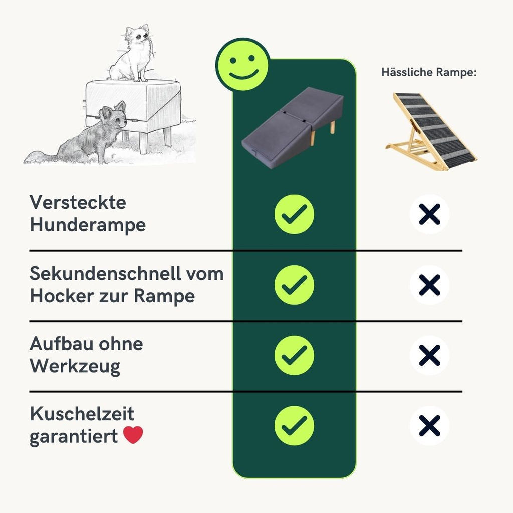 2 in 1 Hundehocker Luna - Gelenkschonende Hunderampe in Grau